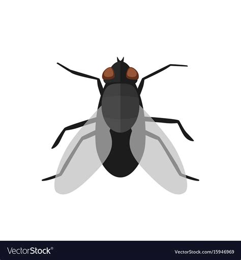 Fly Icon In Flat Style Royalty Free Vector Image