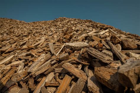 Forest Residues As Bioresources In Circular Bioeconomy Anteja