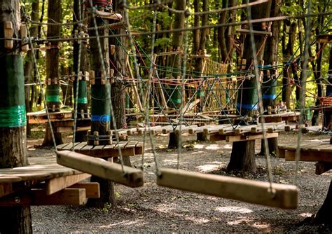 Rope Park In A Forest Adventure Summer Park Stock Image Image Of