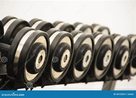 Hand Weights Stock Photo Image Of Fitness Rack Weights 4415254