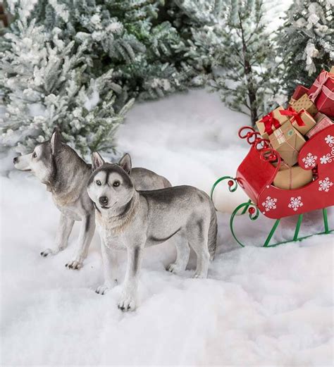 Siberian Husky Dog Sculptures And Red Metal Sleigh Wind And Weather