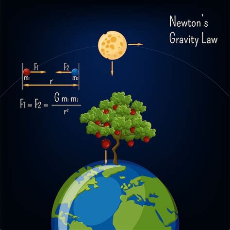 Premium Vector Newtons Gravity Law