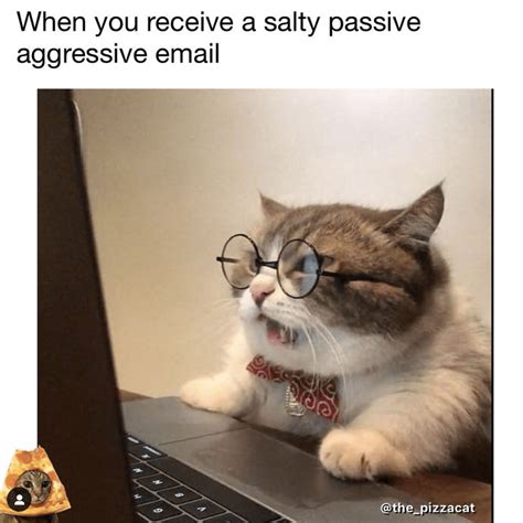 These 27 Lazy Cat Memes Are All You Need This Caturday Cat Memes