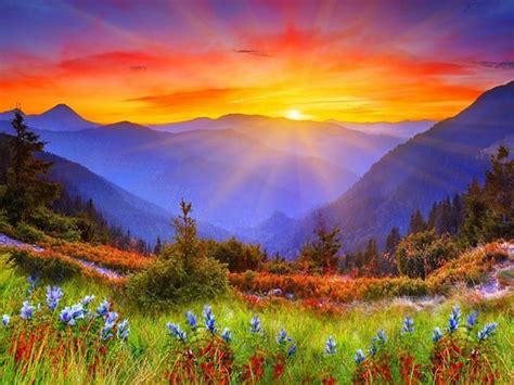 Sunrise Over Mountains And Flowers Landscape Sunset Mountain