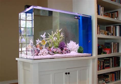 Simple Aquarium Design Combine With The Living Room To Show A Simple