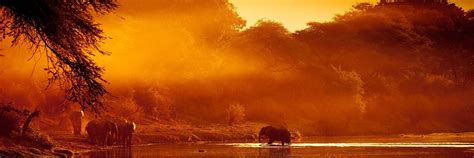 Zambezi National Park Safari