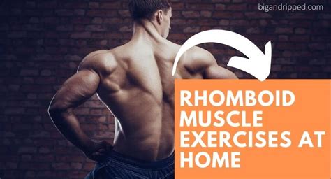 Rhomboid Muscle Exercises At Home For Upper Back Posture