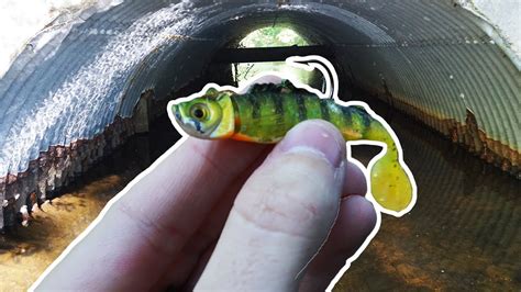 Swimbait Fishing In A Tiny Creek Youtube