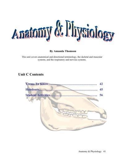 Anatomy And Physiology Student Workbook