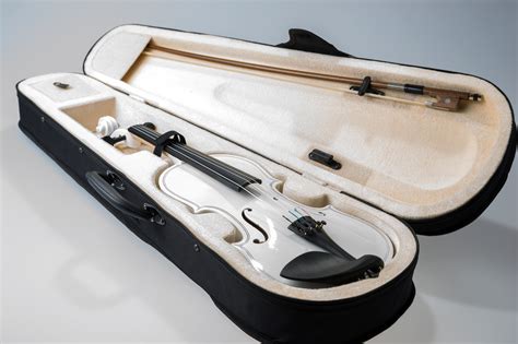Best Violin Cases Sound Halo