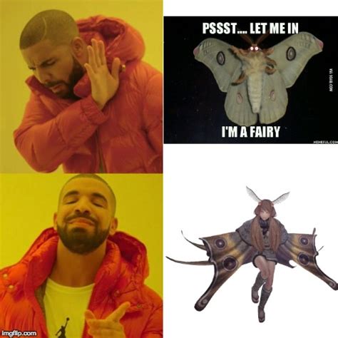 Scary Moth Meme