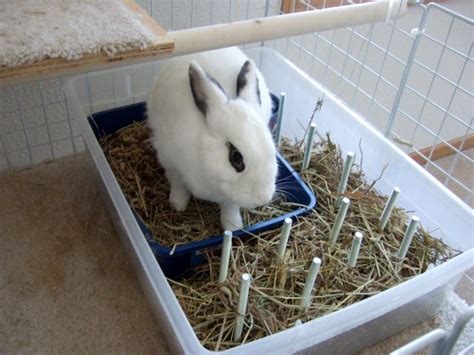 Diy Rabbit Hay Tray