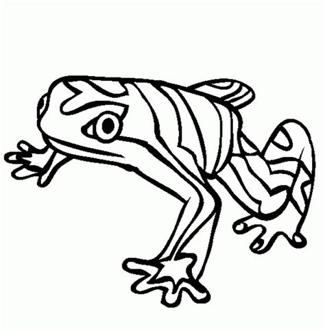 Rainforest Animals Coloring Pages Free Coloring Home