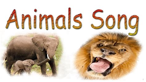 Animal Sounds Jungle Song Youtube