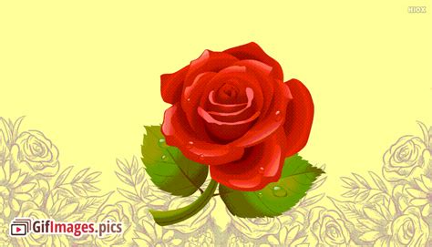 Top 107 Rose Flower  Animation