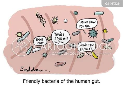Gut Bacteria Cartoons And Comics Funny Pictures From Cartoonstock