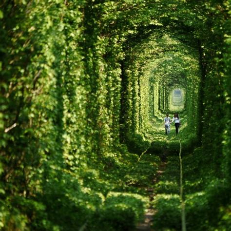 The Story Behind Ukraines Tunnel Of Love Photo Fun 4 U