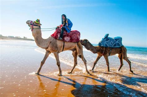 Last Minute Morocco Holiday Offers Active Holidays Morocco