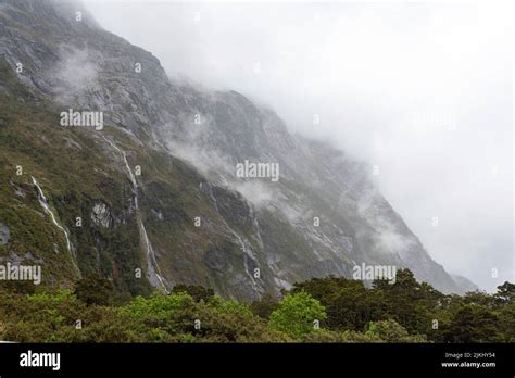 Rainforest Surrounded By Impressive High Mountains On A Rainy Day