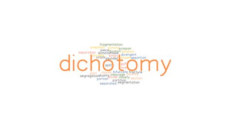 Dichotomy The Dichotomy Of Black Consciousness Ebook By Rodion