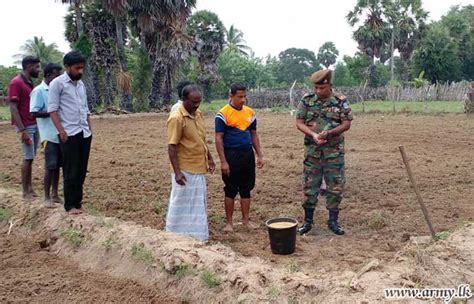 puthukkudiyiruppu farmers with army support re cultivate abandoned paddy fields sri lanka army