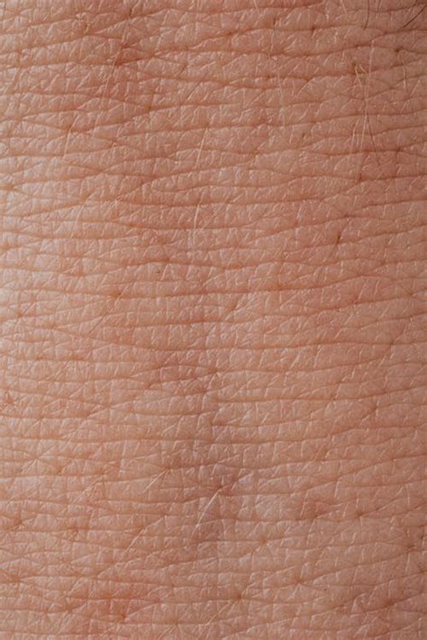 40000 Best Skin Texture Photos · 100 Free Download · Pexels Stock Photos