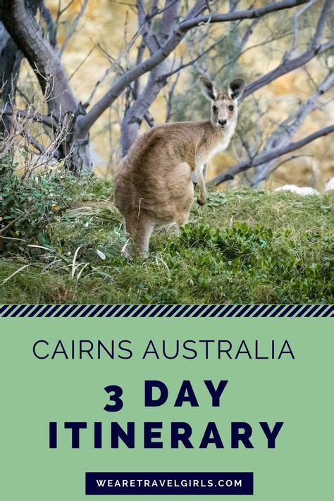 3 Days In Cairns Australia Cairns Australia Australia Travel