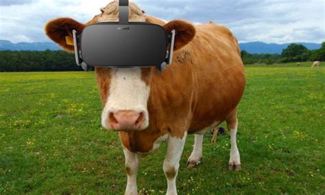 มิติใหม่แห่งวงการเลี้ยงวัว! ฟาร์มรัสเซียใส่แว่น VR ให้วัวหวังผลิตน้ำนมเพิ่มมากขึ้น - ข่าวสดวงการ ...