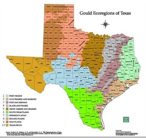 Texas Ecoregions Flashcards Quizlet