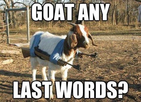 Goat Puns Goatpuns On Twitter