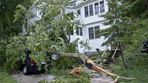 1 Dead After Tree Falls On Home Amid Severe Michigan Storms