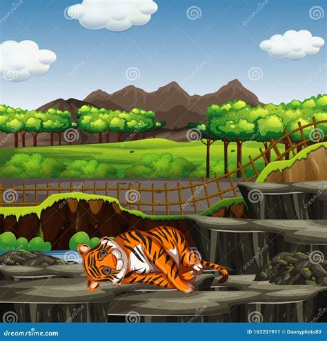 Scene With Tiger In The Zoo Stock Illustration Illustration Of