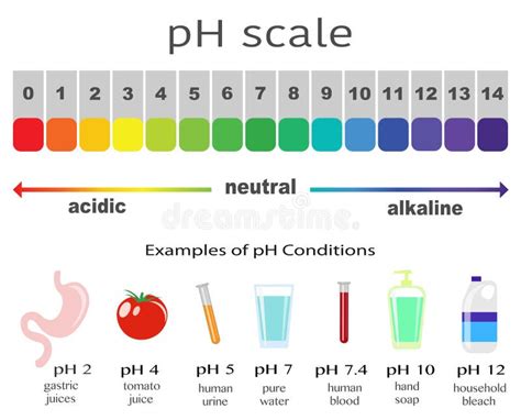 Ph Scale Examples