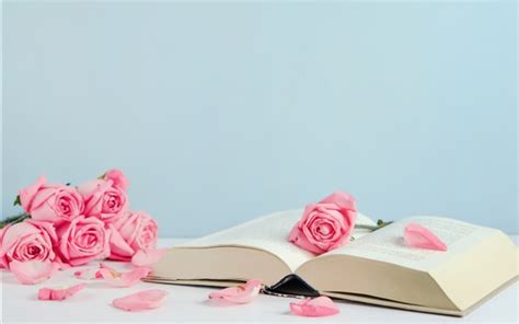 Wallpaper Book And Pink Roses Petals 3840x2160 Uhd 4k Picture Image