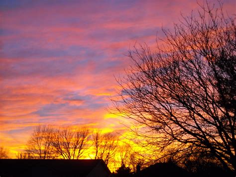 Free Images Tree Nature Branch Silhouette Cloud Sun Sunrise