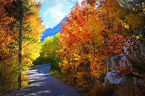 Fall Along The Road To North Lake Photograph By Lynn Bauer Fine Art