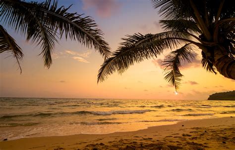 Wallpaper Sand Sea Wave Beach Summer Sunset Palm Trees Shore