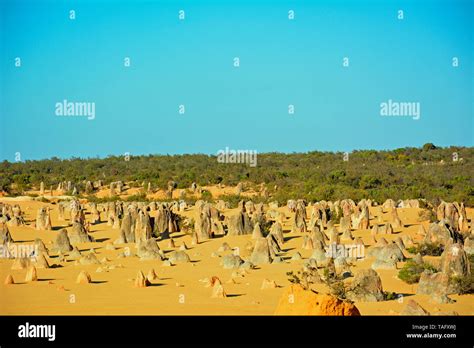 Pinnacles Desert Nambung National Park Wa Australia Stock Photo Alamy