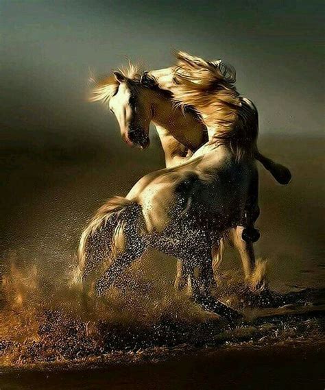 Pin By Chevalier De La Mer On Hoofshu Horses Beautiful Horses