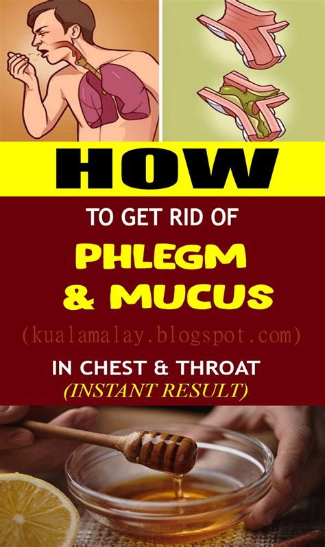 What Causes Excessive Phlegm In The Throat