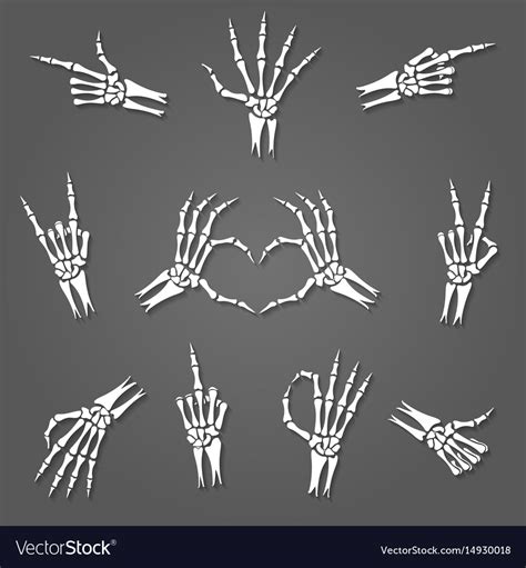 Skeleton Hand Signs Royalty Free Vector Image Vectorstock