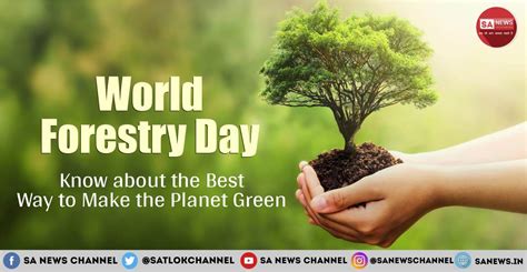World Forest Day 2023 Themehistoryquotesfactsgreen Earth