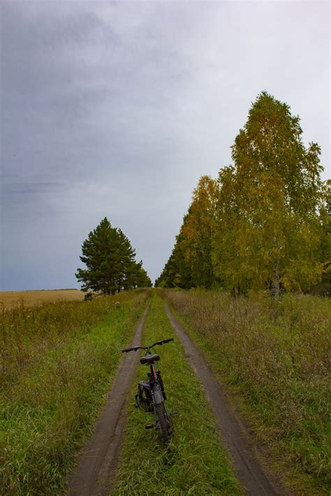 Free Images Bike Fields Grove Trees Field Autumn Natural