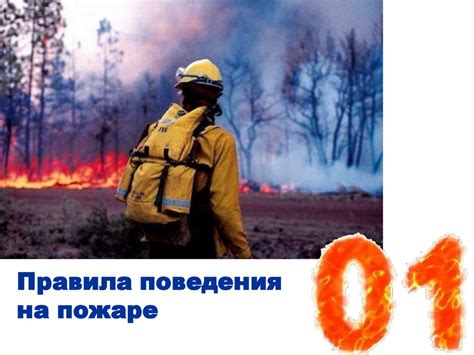 лесные пожары и их предупреждения - презентация онлайн