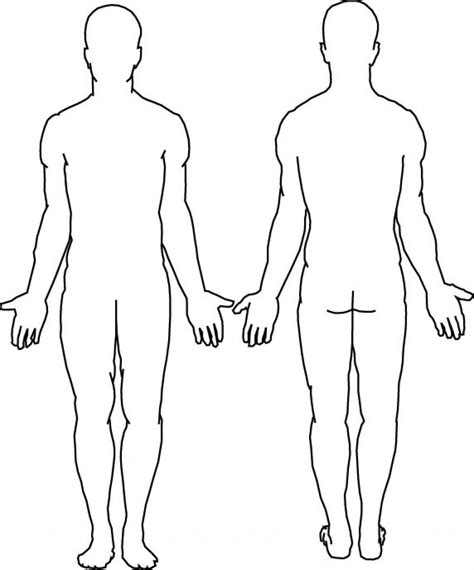 Blank Body Body Template Body Outline Human Body Diagram