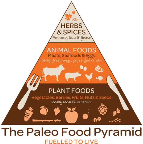Dec 27, 2018 · new vs. New Food Pyramid