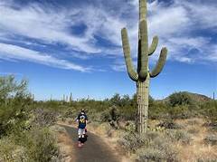 Desert Discovery Indio Under The Lights A Road Trip To Remembrance