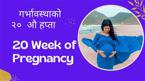 Week Pregnancy In Nepali Th Weeks