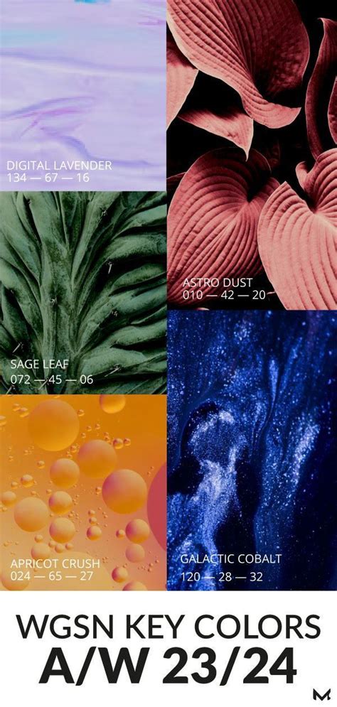 Wgsn Key Colours Aw 2324 Moject Color Forecasting Color Trends
