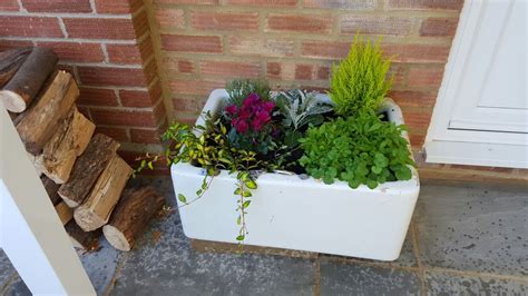 Planted butler sink | Belfast sink planter, Garden inspiration, Back
